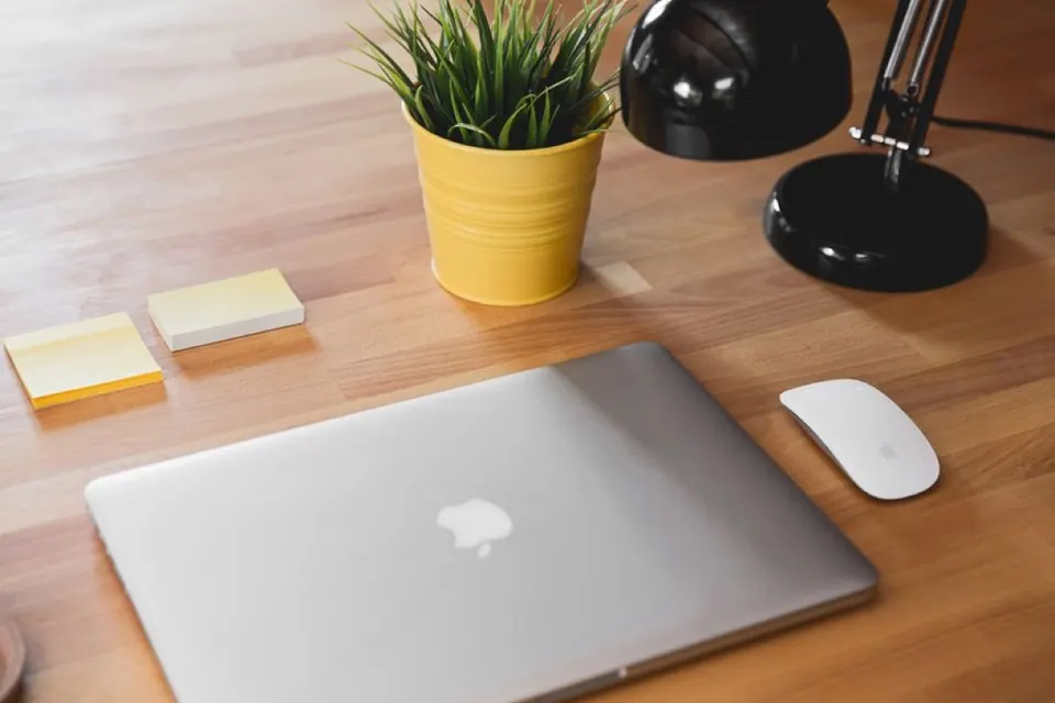 MacBook đặt trên bàn gỗ cạnh chậu cây