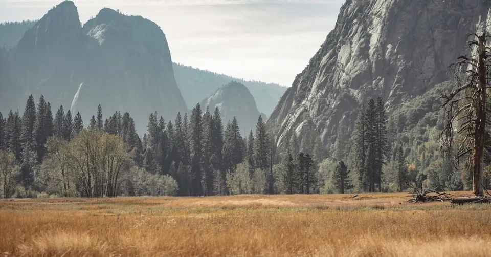 macOS đặt tên theo đâu? Từ loài mèo lớn tới Golden Gate